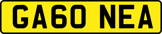 GA60NEA