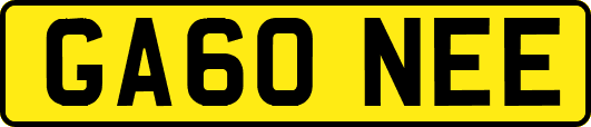 GA60NEE