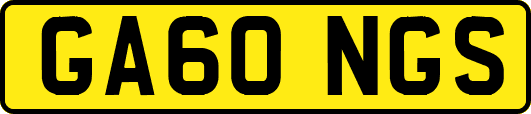 GA60NGS