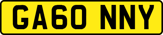 GA60NNY