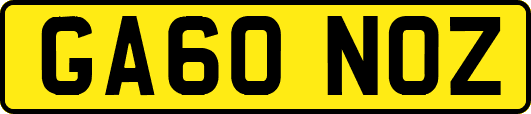 GA60NOZ
