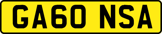 GA60NSA