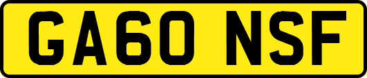 GA60NSF