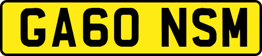 GA60NSM