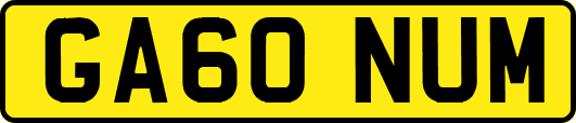 GA60NUM