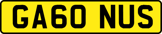 GA60NUS