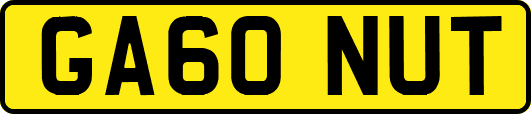 GA60NUT