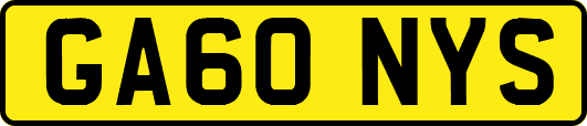 GA60NYS