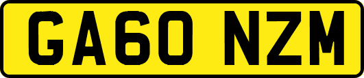 GA60NZM