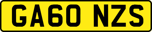 GA60NZS