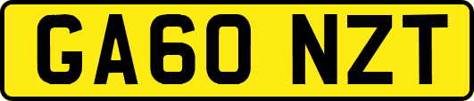 GA60NZT