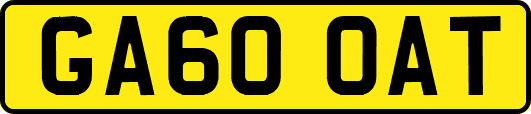 GA60OAT