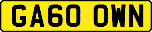 GA60OWN