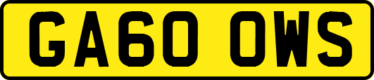 GA60OWS