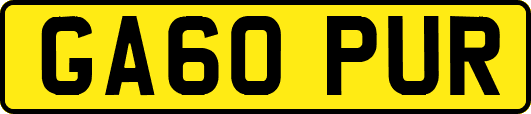 GA60PUR