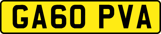GA60PVA