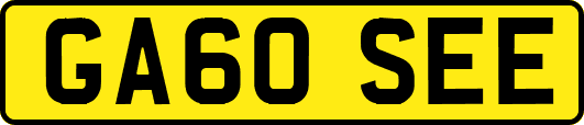 GA60SEE