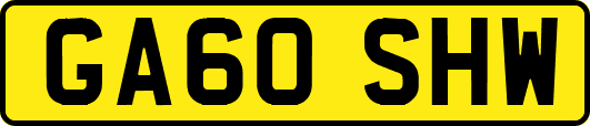 GA60SHW