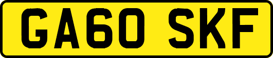 GA60SKF