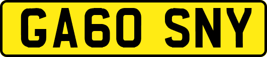 GA60SNY