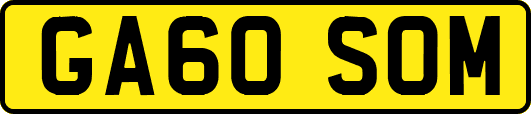 GA60SOM