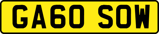 GA60SOW