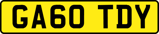 GA60TDY