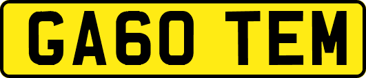 GA60TEM