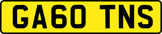 GA60TNS