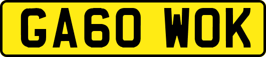 GA60WOK