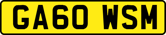 GA60WSM