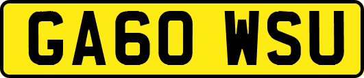 GA60WSU