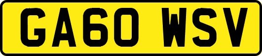 GA60WSV