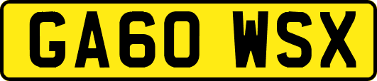 GA60WSX