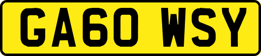 GA60WSY