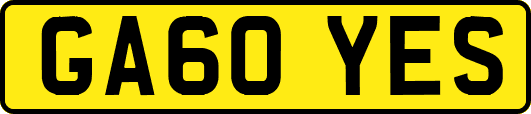 GA60YES
