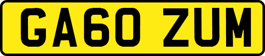 GA60ZUM