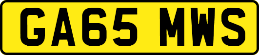 GA65MWS