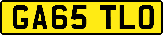 GA65TLO