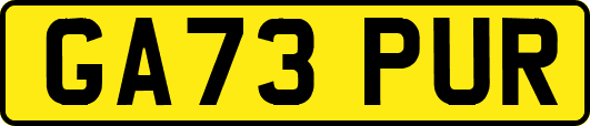 GA73PUR
