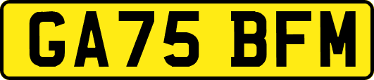 GA75BFM