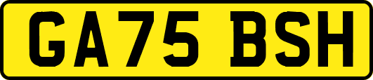 GA75BSH