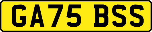 GA75BSS