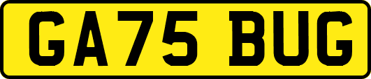 GA75BUG