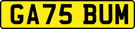GA75BUM
