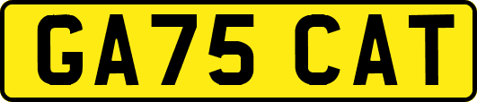 GA75CAT