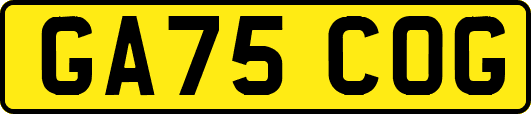 GA75COG