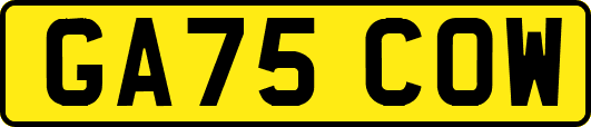 GA75COW