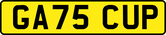 GA75CUP