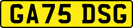 GA75DSG
